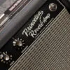 Fender Tone Master® Princeton® Reverb, 120V – New