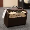 Fishman Loudbox Micro Acoustic Instrument Amplifier New
