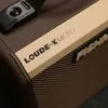 Fishman Loudbox Micro Acoustic Instrument Amplifier New