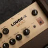 Fishman Loudbox Micro Amplifier – New