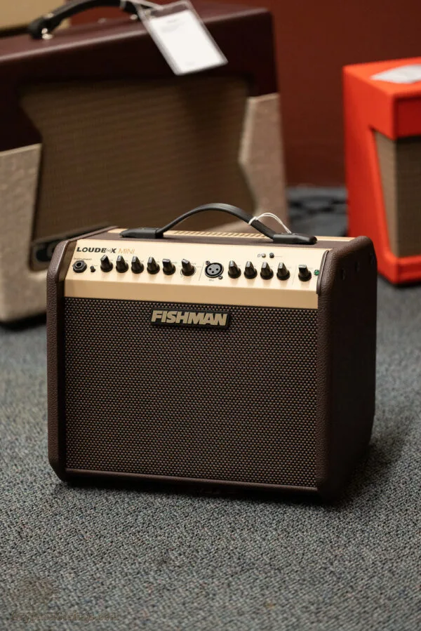 Fishman Loudbox Mini Amplifier – New