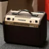 Fishman Loudbox Mini Amplifier – New