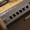 Fishman Loudbox Mini Charge Acoustic Instrument Amplifier New