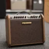 Fishman Loudbox Mini Charge Amplifier – New