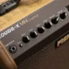 Fishman Loudbox Mini Charge Amplifier – New