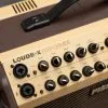 Fishman Loudbox Performer Acoustic Instrument Amplifier New