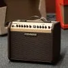 Fishman PRO-LBT-500 Loudbox Mini New