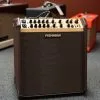 Fishman PRO-LBT-700 Loudbox Performer – 180 watts New