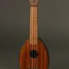 Fluke Flea M32 Koa K&K Aloha Twin Soprano Ukulele New