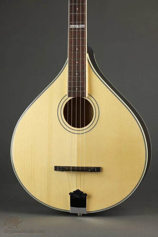 Gold Tone Banjola+ Woodbody 5-String Banjo – New