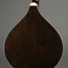 Gold Tone Banjola+ Woodbody 5-String Banjo – New