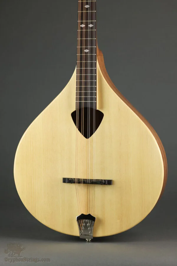 Gold Tone BZ-500: Irish-Tuned (GDAD) Bouzouki Mandolin – New