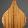 Gold Tone BZ-500: Irish-Tuned (GDAD) Bouzouki Mandolin – New