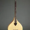 Gold Tone BZ-500: Irish-Tuned (GDAD) Bouzouki Mandolin – New