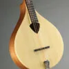 Gold Tone BZ-500: Irish-Tuned (GDAD) Bouzouki Mandolin – New