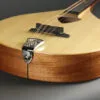 Gold Tone BZ-500: Irish-Tuned (GDAD) Bouzouki Mandolin – New