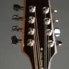 Gold Tone BZ-500: Irish-Tuned (GDAD) Bouzouki Mandolin – New