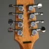 Gold Tone BZ-500: Irish-Tuned (GDAD) Bouzouki Mandolin – New