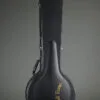 Gold Tone BZ-500: Irish-Tuned (GDAD) Bouzouki Mandolin – New