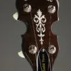 Gold Tone OB-250 Orange Blossom 5-String Resonator Banjo – New