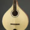 Gold Tone OM-800+ Octave Mandolin – New