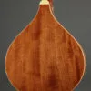 Gold Tone OM-800+ Octave Mandolin – New