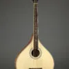 Gold Tone OM-800+ Octave Mandolin – New