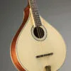 Gold Tone OM-800+ Octave Mandolin – New