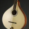 Gold Tone OM-800+ Octave Mandolin – New