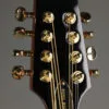 Gold Tone OM-800+ Octave Mandolin – New