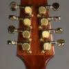 Gold Tone OM-800+ Octave Mandolin – New