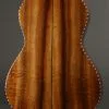 Graziano Weissenborn Style 4 Lap Steel New