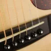 Huss & Dalton DM Dreadnought Mahogany Acoustic Guitar – New