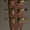 Huss & Dalton DM Dreadnought Mahogany Acoustic Guitar – New