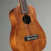 Kamaka HB-2 Concert Ohta – New