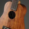 Kamaka HB-2 Concert Ohta – New