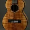 Kamaka HF-3 2DI Ipuka Tenor Deluxe 2 Slotted Head with Case New