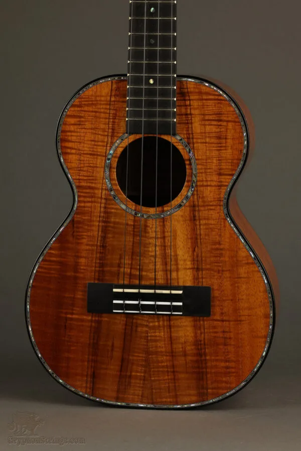 Kamaka HF-3 2DI Tenor Deluxe 2 Slotted Head with Case – New