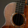 Kamaka HF-3 2DI Tenor Deluxe 2 Slotted Head with Case – New