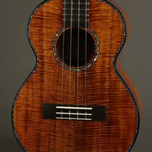 Kamaka HF-3 D4I Jake Blue Tenor Ukulele – New