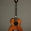 Kamaka HF-3 D4I Jake Blue Tenor Ukulele – New