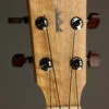 Kamaka HF-3 Mango Tenor Ukulele – New
