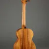 Kamaka HF-35 Tenor 5-String Kamaka Nalu Ukulele – New