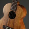 Kamaka HF-35 Tenor 5-String Kamaka Nalu Ukulele – New