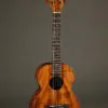 Kamaka HF-38 Tenor 8-String Ukulele – New
