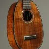 Kamaka HP-1 D2 Standard Pineapple Soprano New