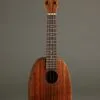 Kamaka HP-1 Standard Pineapple Soprano New