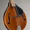 Kentucky KM-156 A-Model Transparent Brown Mandolin – New
