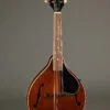 Kentucky KM-156 Mandolin – New