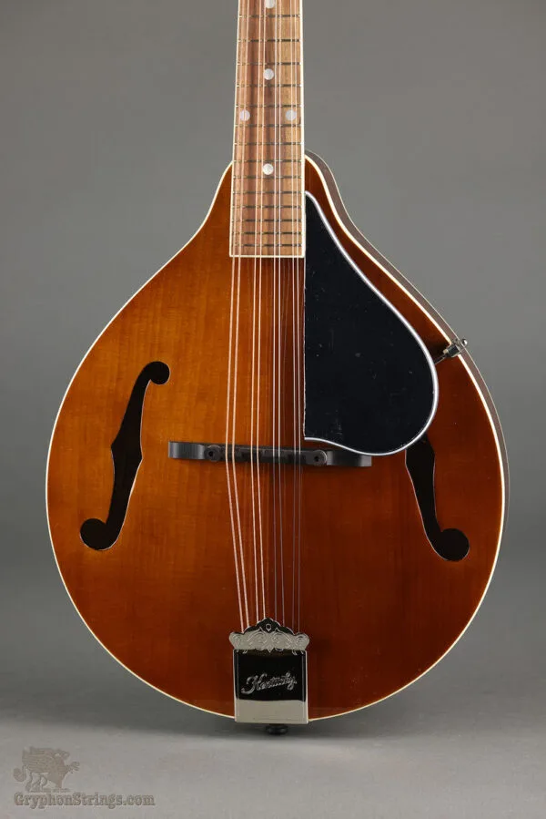 Kentucky KM-156 Mandolin – New